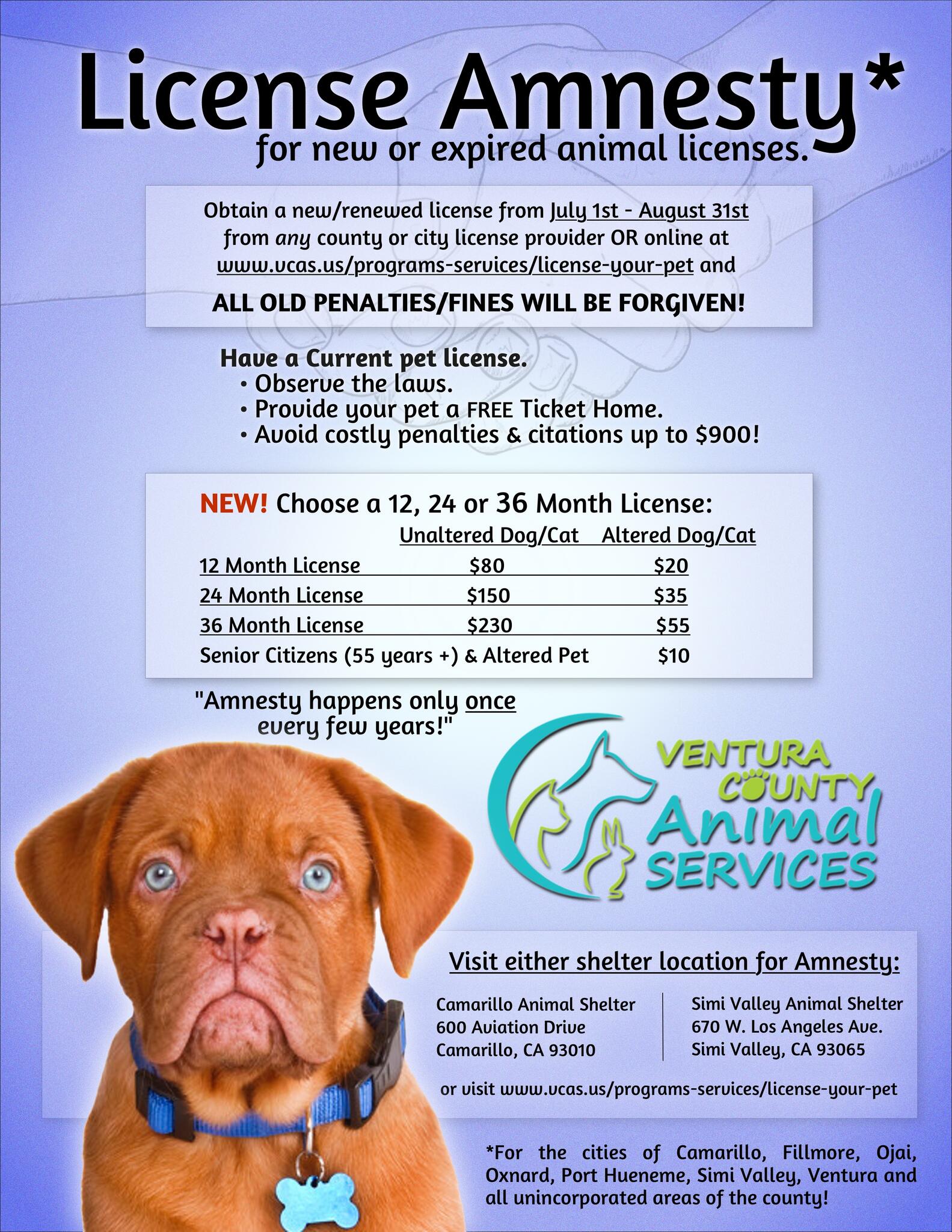 Do You Need A Dog License In Los Angeles