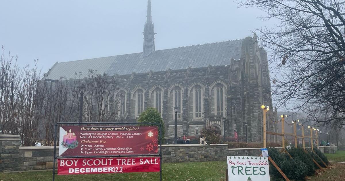 Boy Scout Tree & Wreath Sale 🎄 for 35 in Washington, DC For Sale