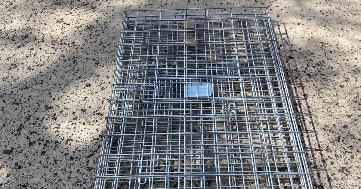 Foldable Dog Kennel for Free in New Braunfels, TX For Sale & Free