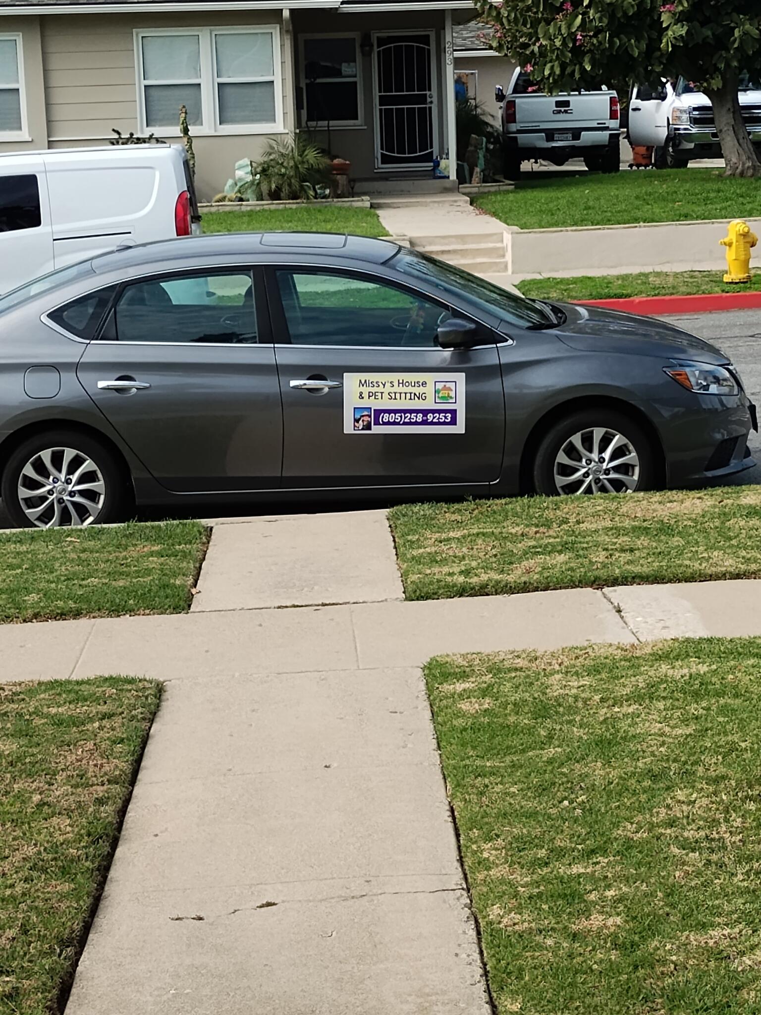 Missy's House & Pet Sitting Ventura Girl Friday & Chaos Control