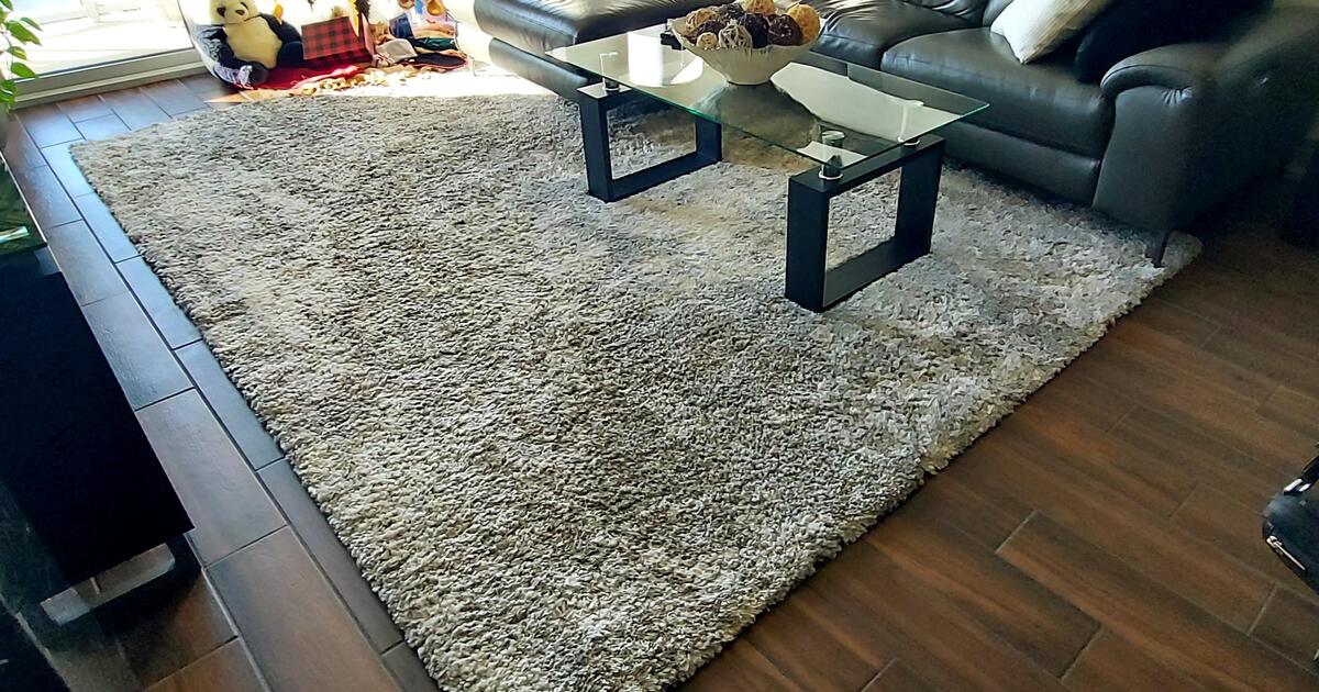 AREA RUG 8'x11' for 105 in Plano, TX For Sale & Free — Nextdoor