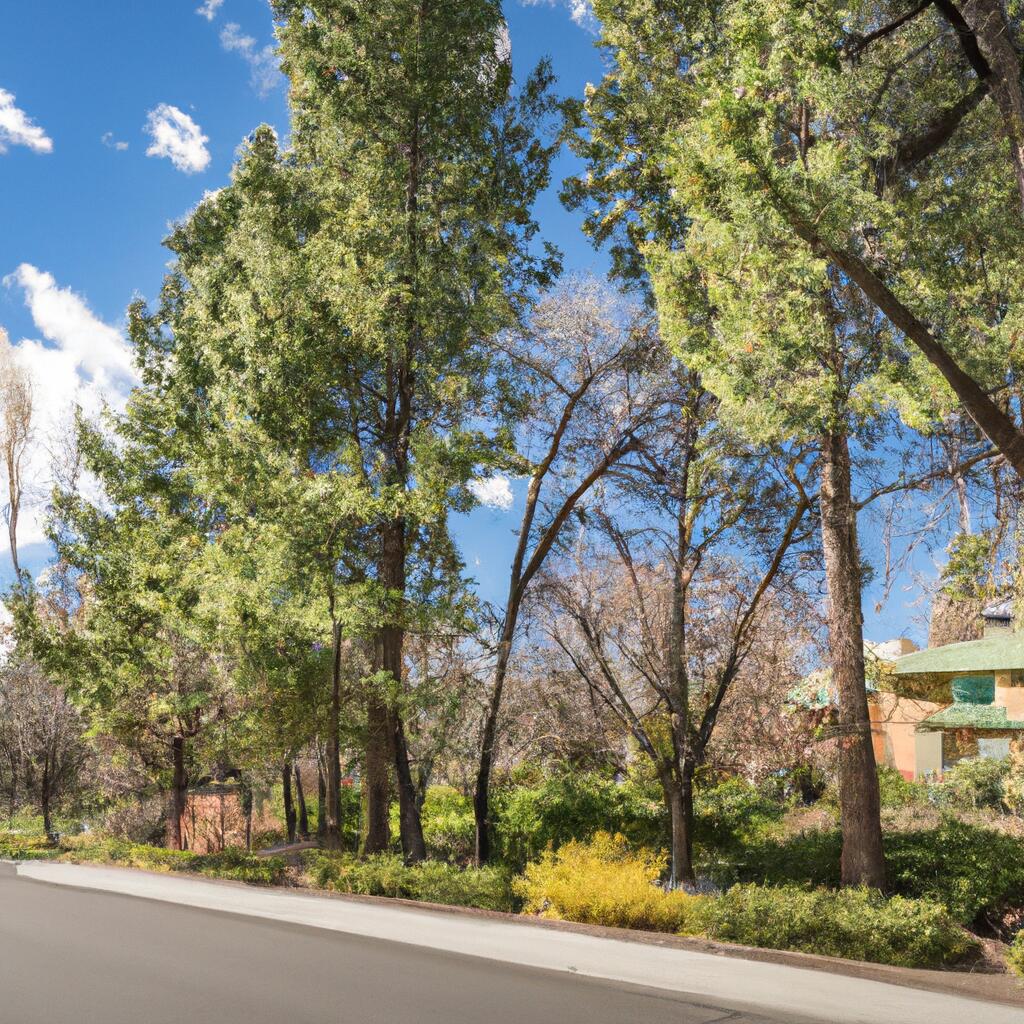 Lakewood, Boise News, Crime, Lost Pets, Free Stuff