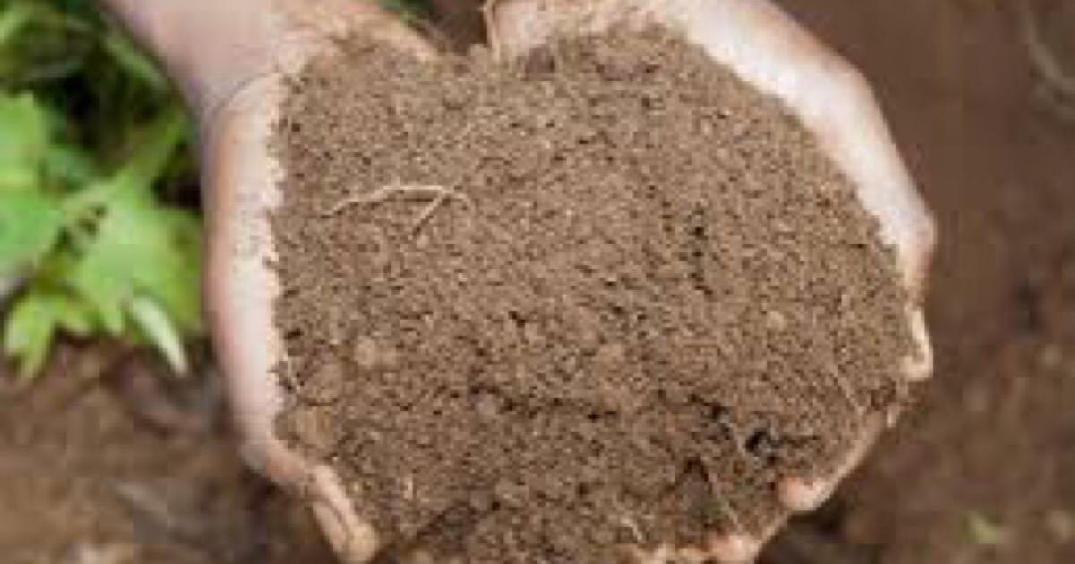 I’M LOOKING FOR DIRT for Free in Louisville, KY For Sale & Free