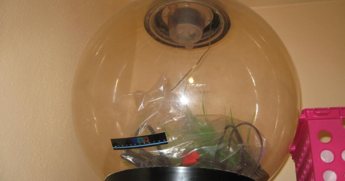 Photo inspiration: Visual Reference: 55 Gallon Fish Tank 12 X21 X4Ft No Stand No