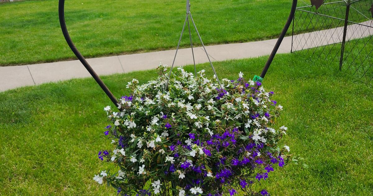 Rummage Sale for Free in La Crosse, WI For Sale & Free — Nextdoor