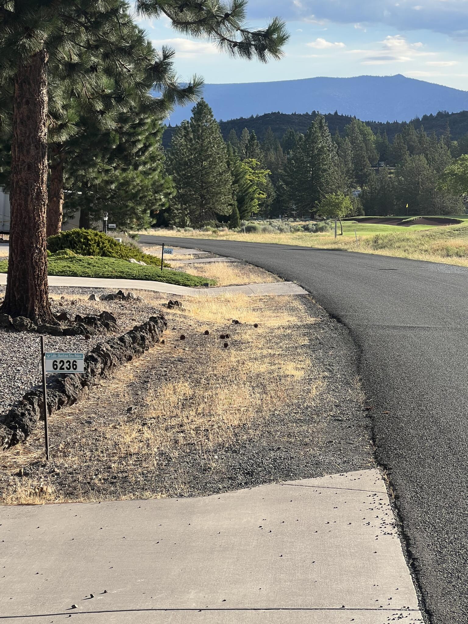 Easy to read Lake Shastina Address Signs Available. (Lake Shastina Fire