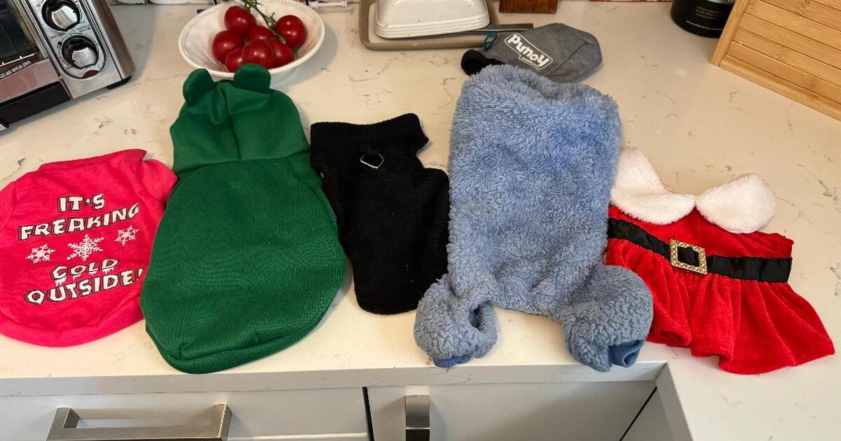 Small dog clothes small or extra small for free in granada hills ca