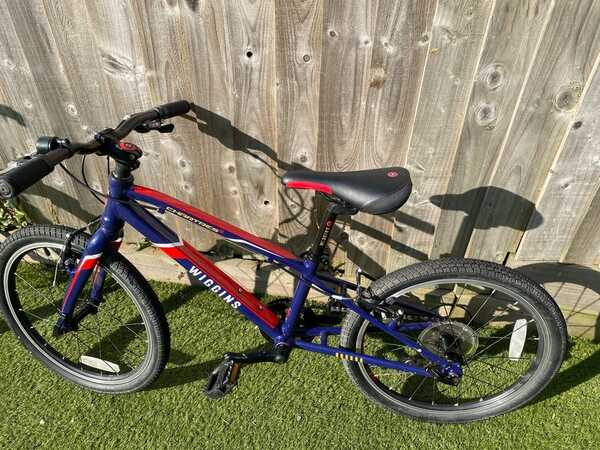 Wiggins bike 20 deals