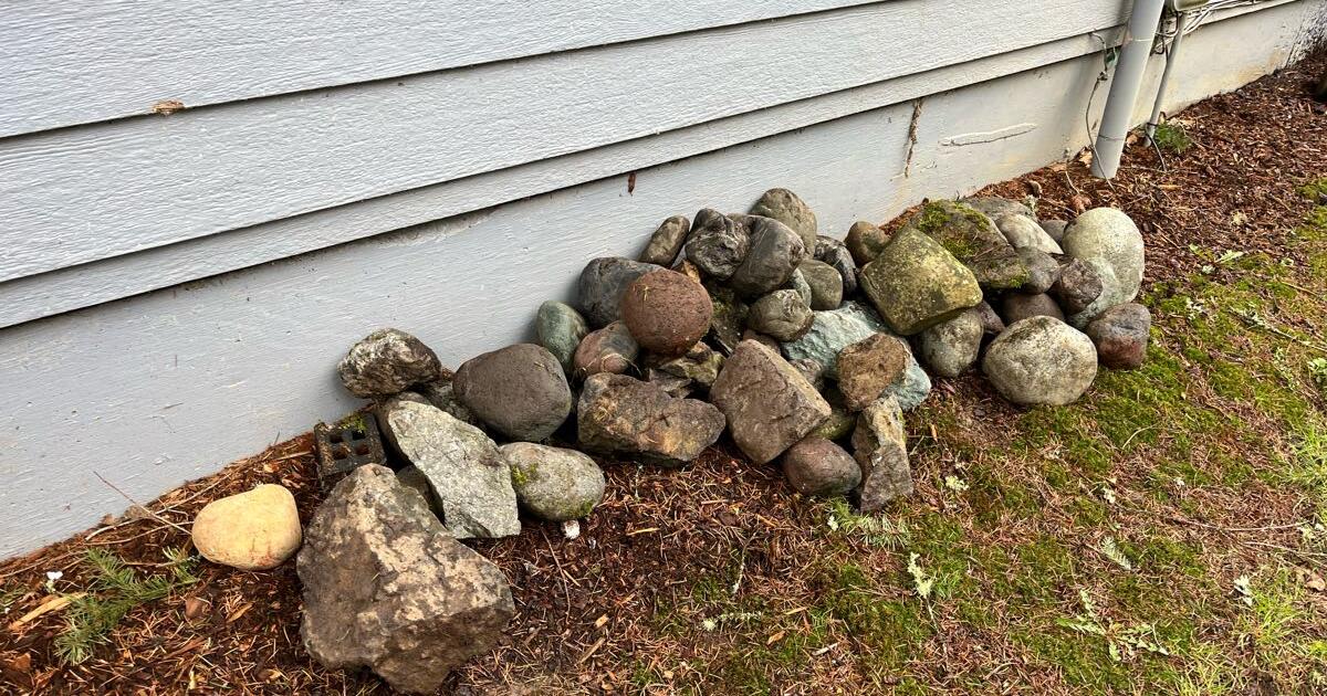 Free River Rocks for Free in Bellingham, WA | For Sale & Free — Nextdoor