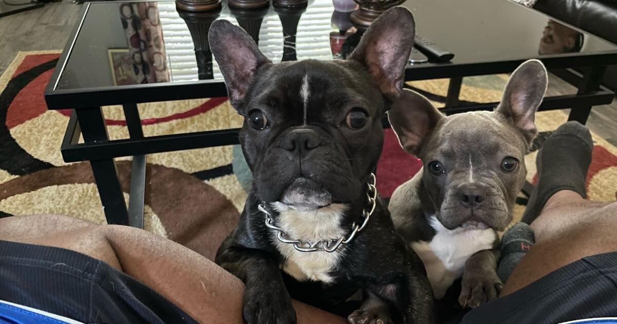 86 Bus Schedule Today Near Lithonia Ga