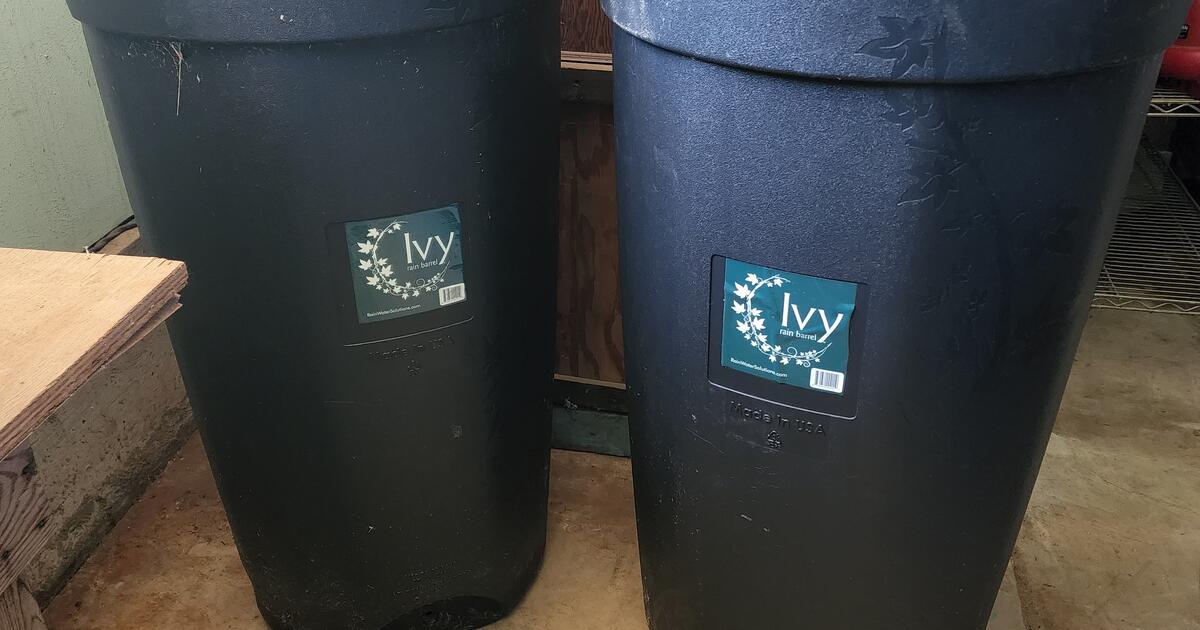 Ivy Rain BarrelUpdate for 70 in Syracuse, NY Finds — Nextdoor