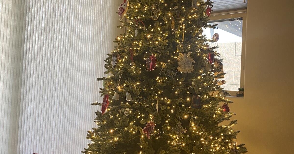 Christmas Tree for 300 in Goodyear, AZ For Sale & Free — Nextdoor