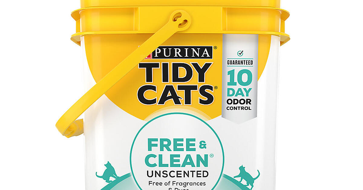 FREE Buckets, Tidy Cat Unscented for Free in Santa Fe, NM For Sale & Free — Nextdoor