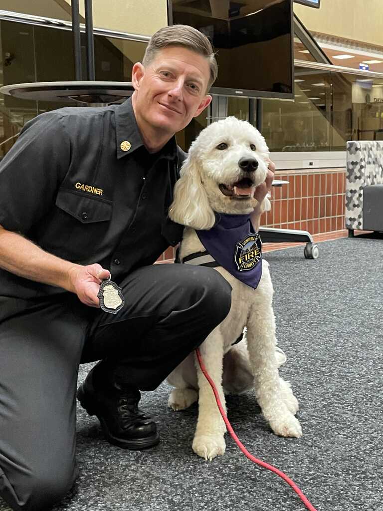 Today, VCFD's peer support dogs Hudson, Hoku Lani, and Cutter and their ...