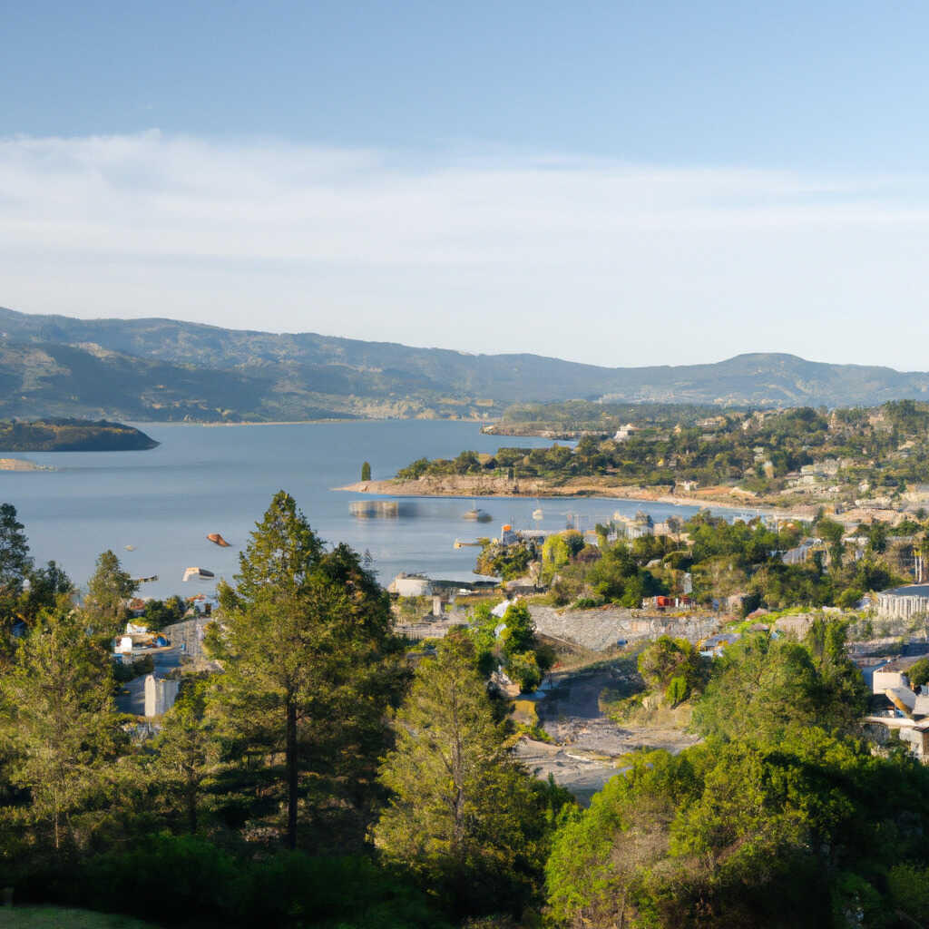 Lakeshore/Oak Cove, Clearlake News, Crime, Lost Pets, Free Stuff