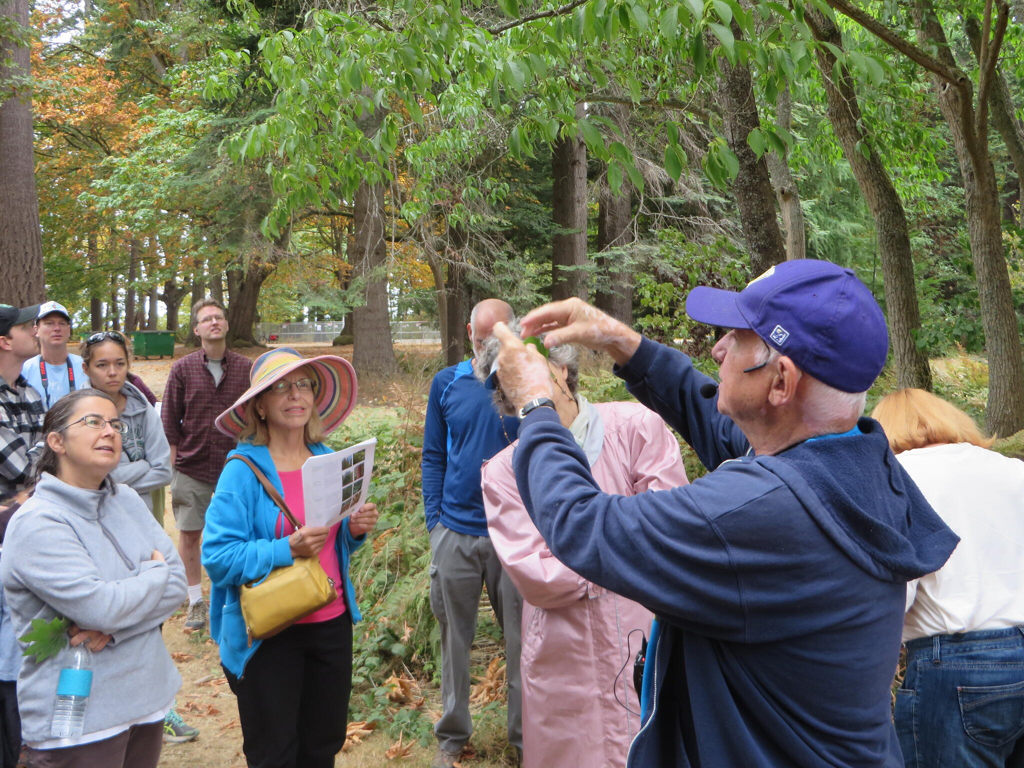 Admiral Neighborhood Tree Walk (Seattle Public Utilities) — Nextdoor