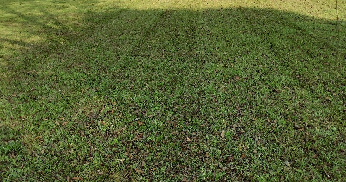 Affordable Lawn Maintenance ACREAGE for 40 in Fairhope, AL For Sale