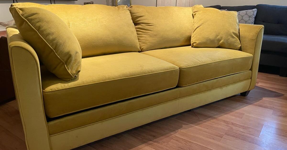 Lightly Used Sofa Bed for 390 in Williamsburg, MI For Sale & Free