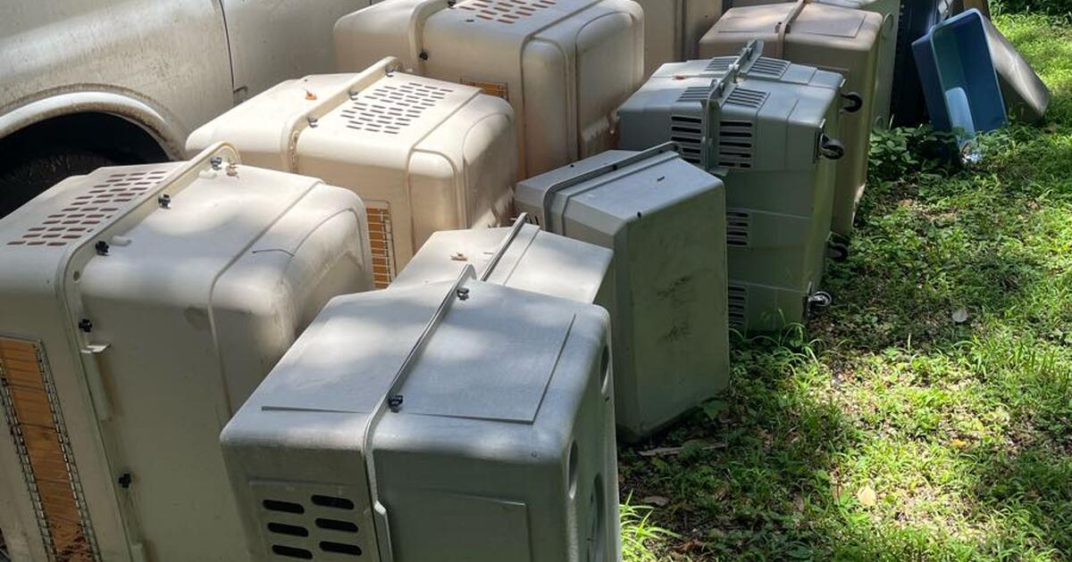 Free Pet Carriers For Free In Lantana FL For Sale Free Nextdoor Free pet carriers for free in lantana fl for sale free nextdoor