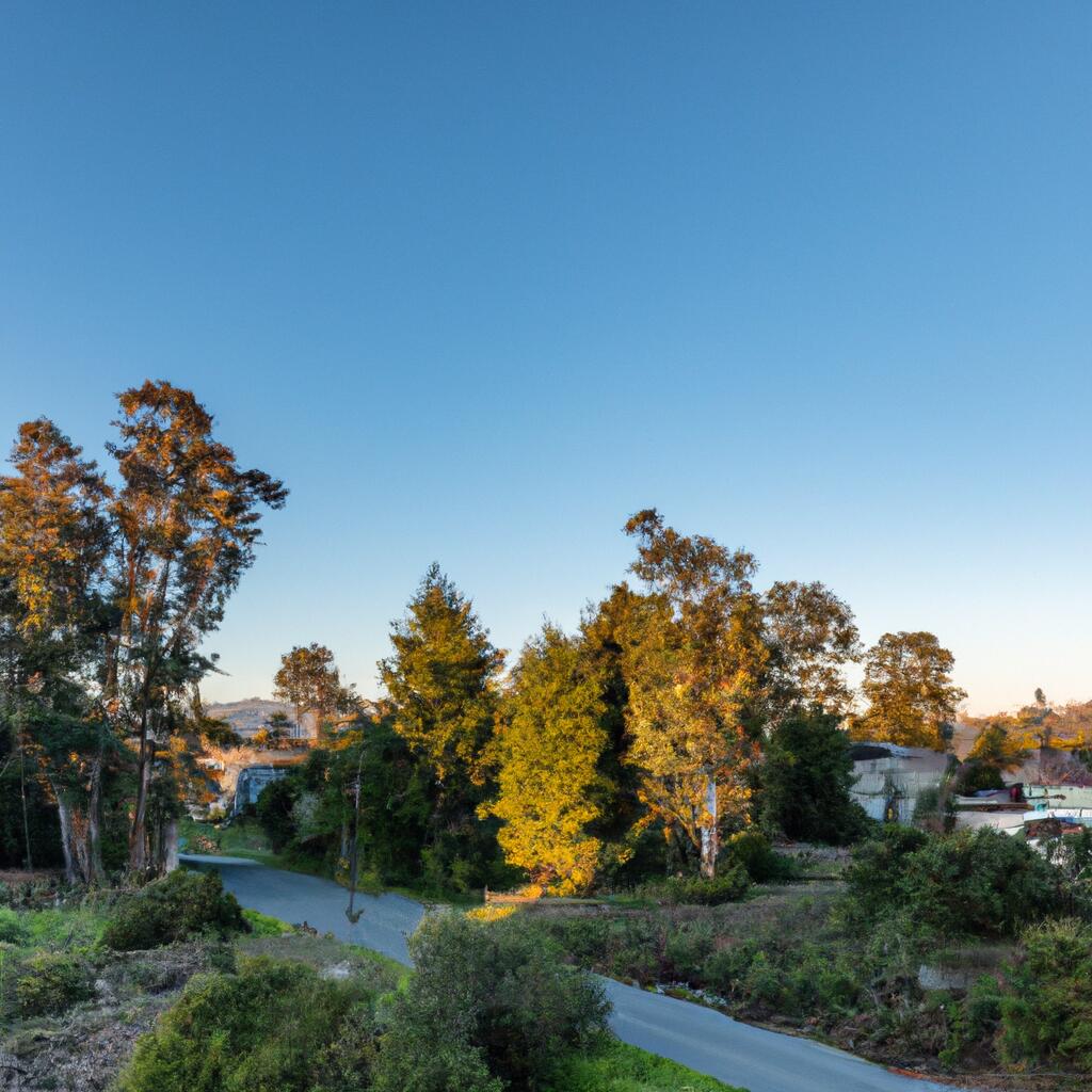 Piedmont Pines, Oakland News, Crime, Lost Pets, Free Stuff