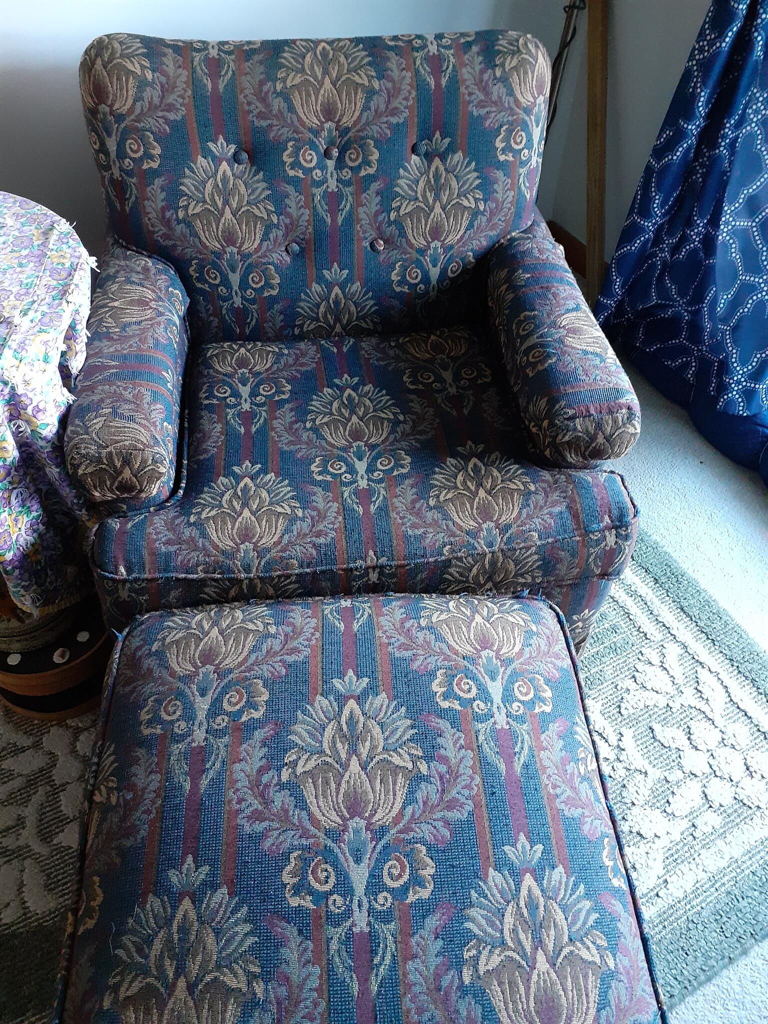 Holly Apartments, Warren News, Crime, Lost Pets, Free Stuff