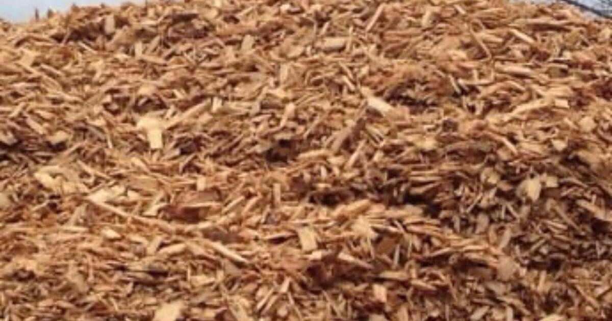 Arborist Mulch or Wood Chips Wanted for Free in Seattle, WA Finds