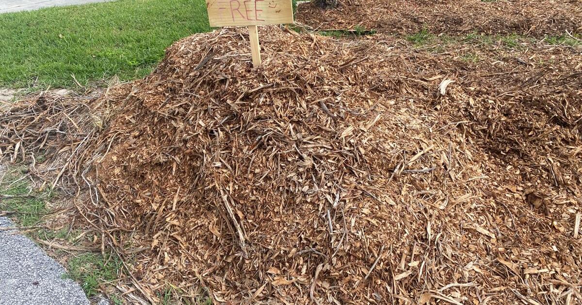 Mulch for Free in Ormond Beach, FL Finds — Nextdoor