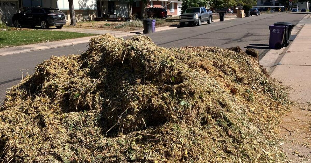 Free Mulch for Free in Denver, CO For Sale & Free — Nextdoor