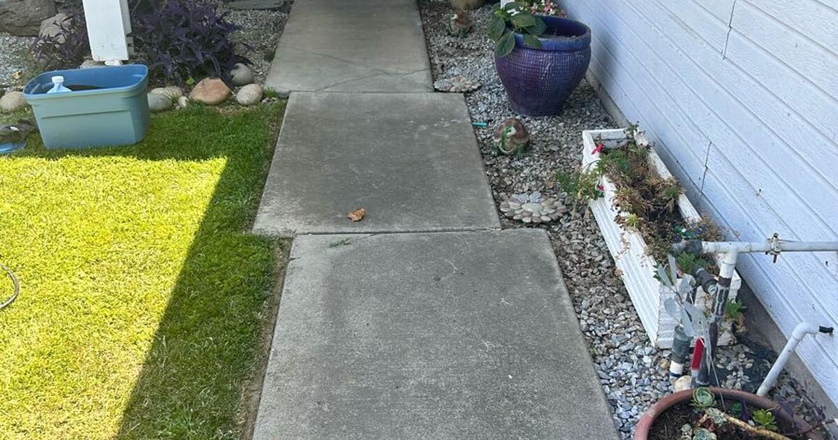 Pressure Washing/Gutter Cleaning/ Solar Panel Panel Cleaning for Free