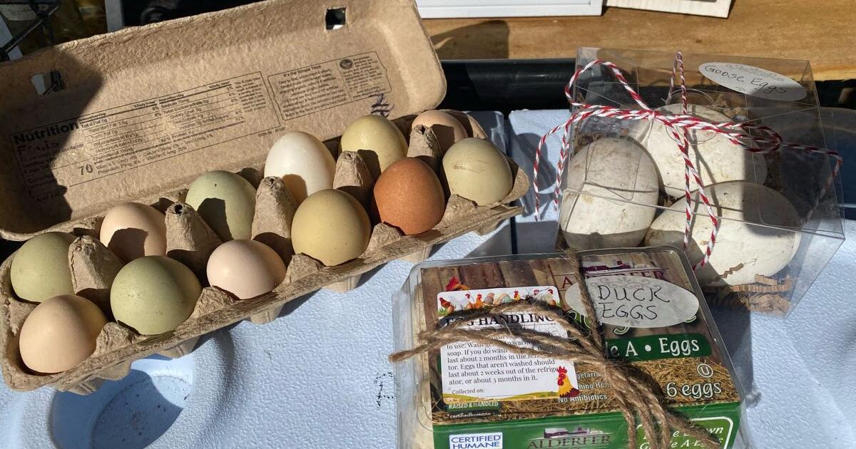 Farm Fresh Chicken, Duck & Goose Eggs & Herbal Remedies in
