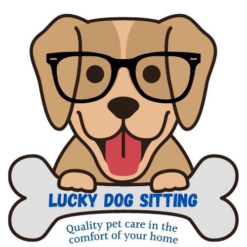 Lucky dog hot sale pet sitting