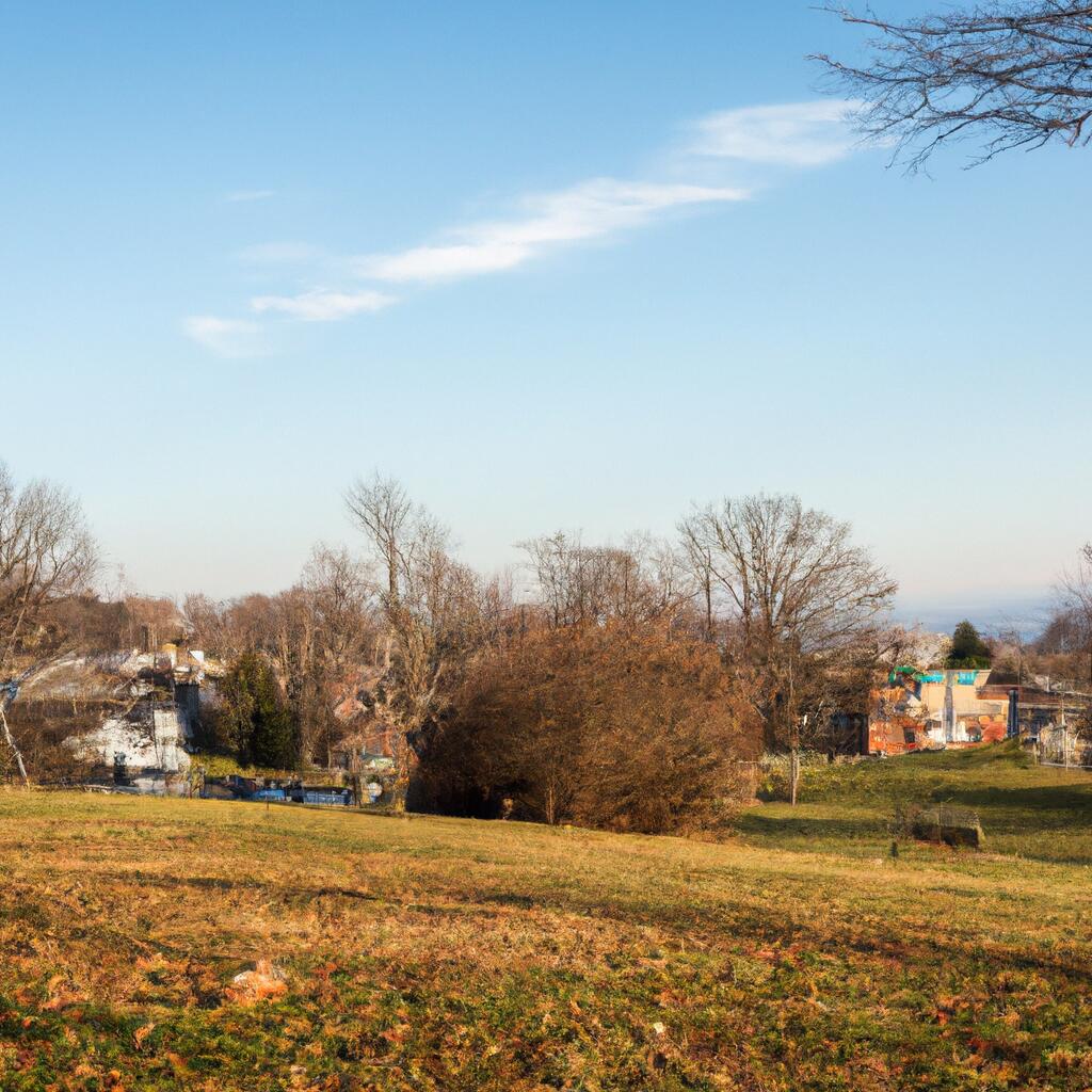 Hilltop, Ansonia News, Crime, Lost Pets, Free Stuff