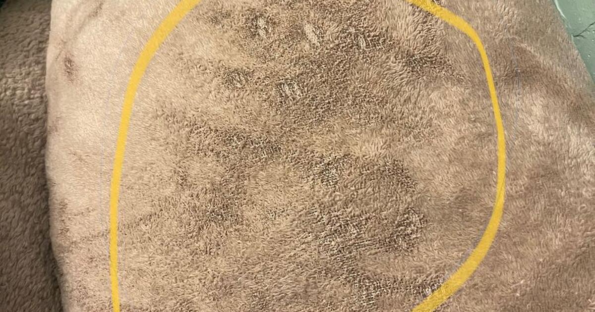 free-set-of-micro-fleece-sheets-for-free-in-lakewood-co-for-sale