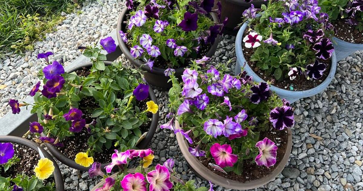 Garage Sale in Noblesville, IN For Sale & Free — Nextdoor