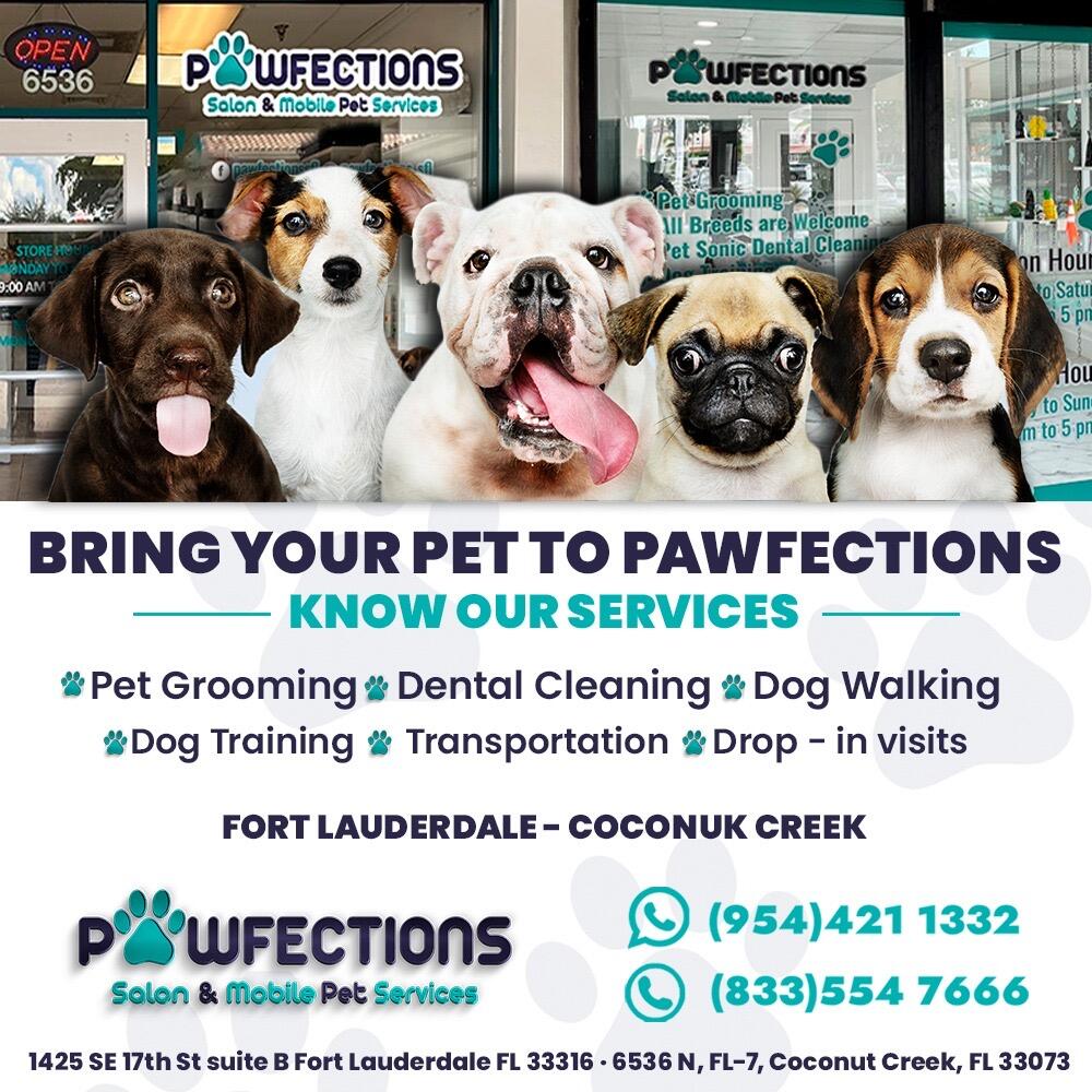 Pawfections mobile pet sales spa