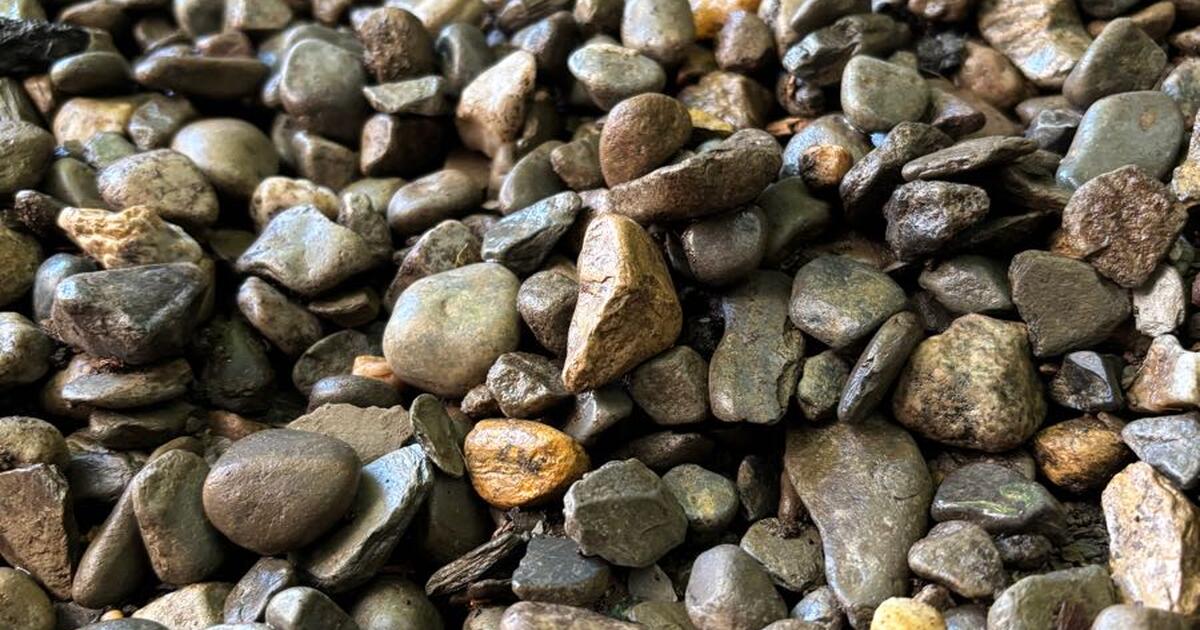 Free River Rocks! for Free in Philadelphia, PA | For Sale & Free — Nextdoor