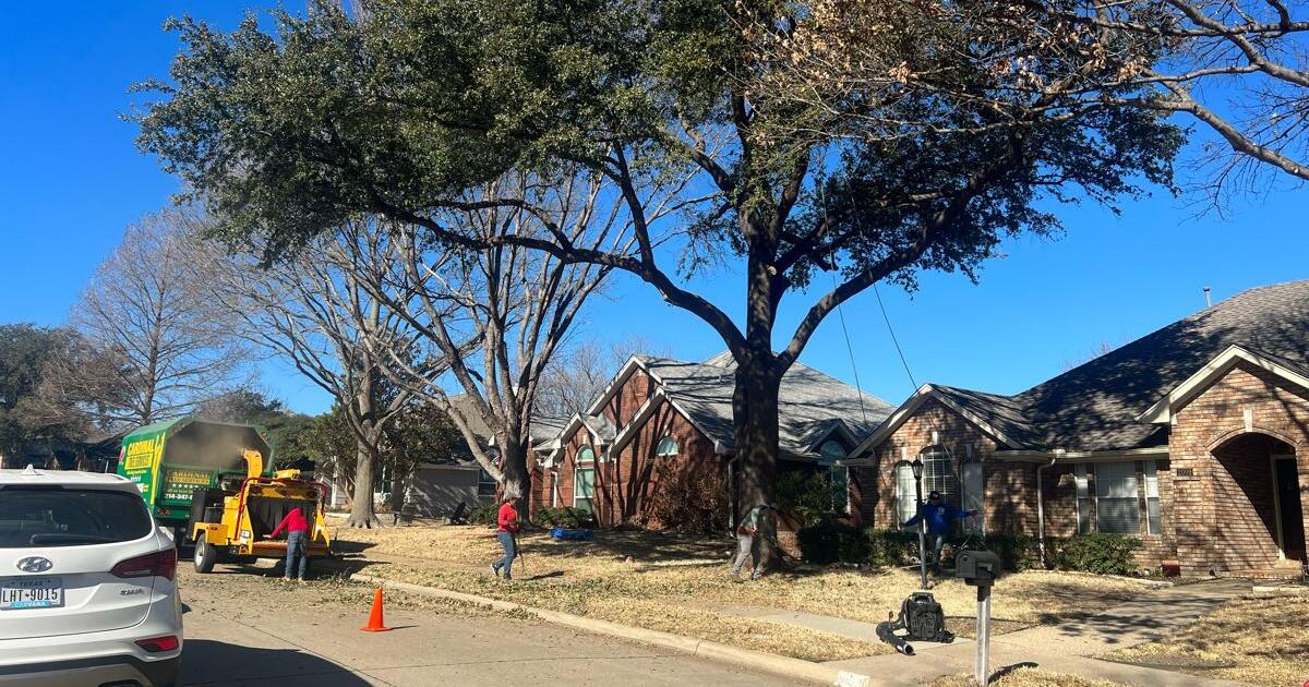 ALL ABOUT LANDSCAPING for 135 in Richardson, TX Finds — Nextdoor