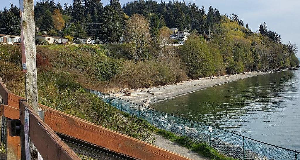 WSU Kitsap Beach Explorations 2023 (Kitsap County) — Nextdoor — Nextdoor