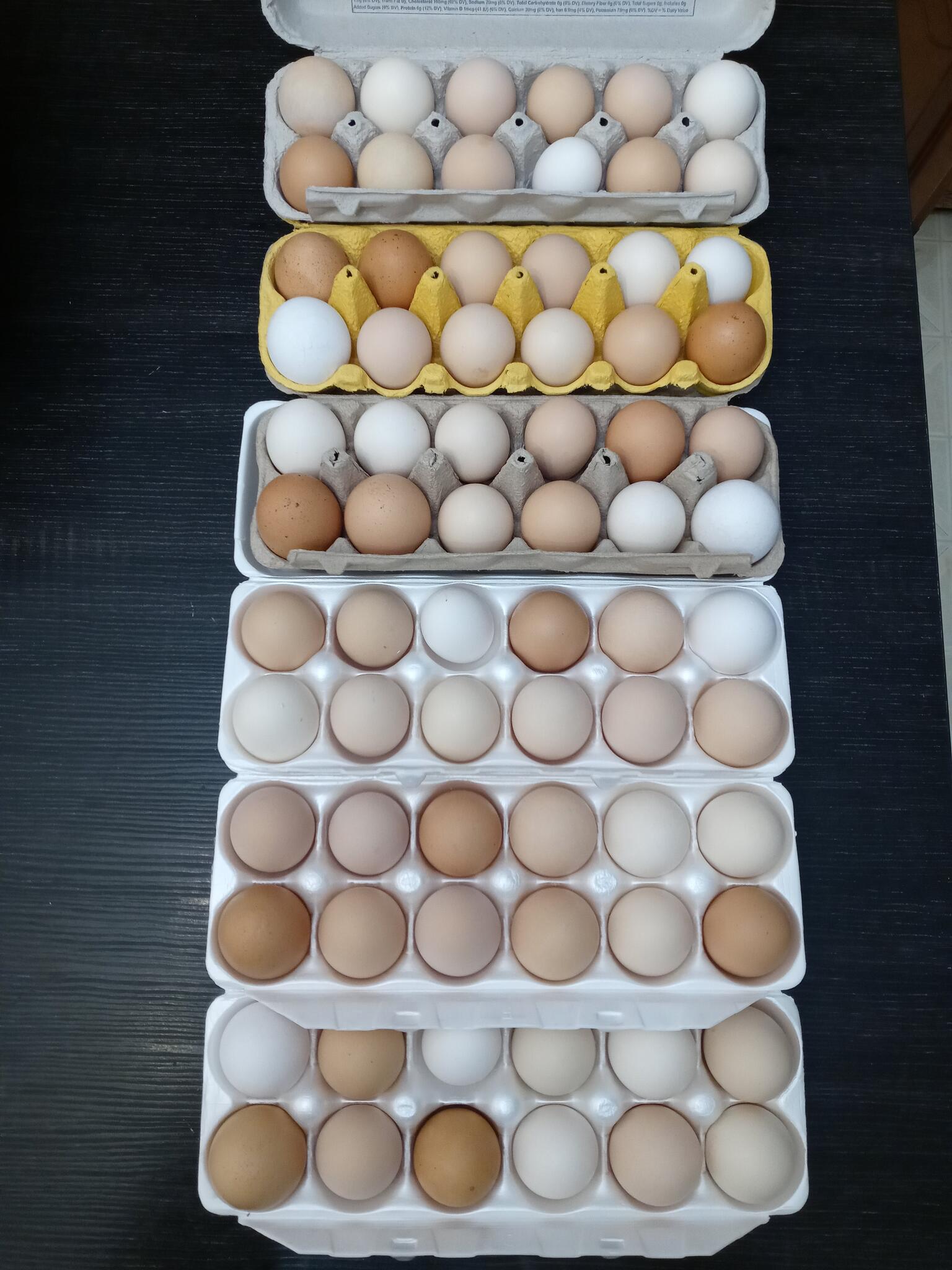 Farm Fresh Eggs for 5 in Fuquay Varina, NC For Sale & Free — Nextdoor