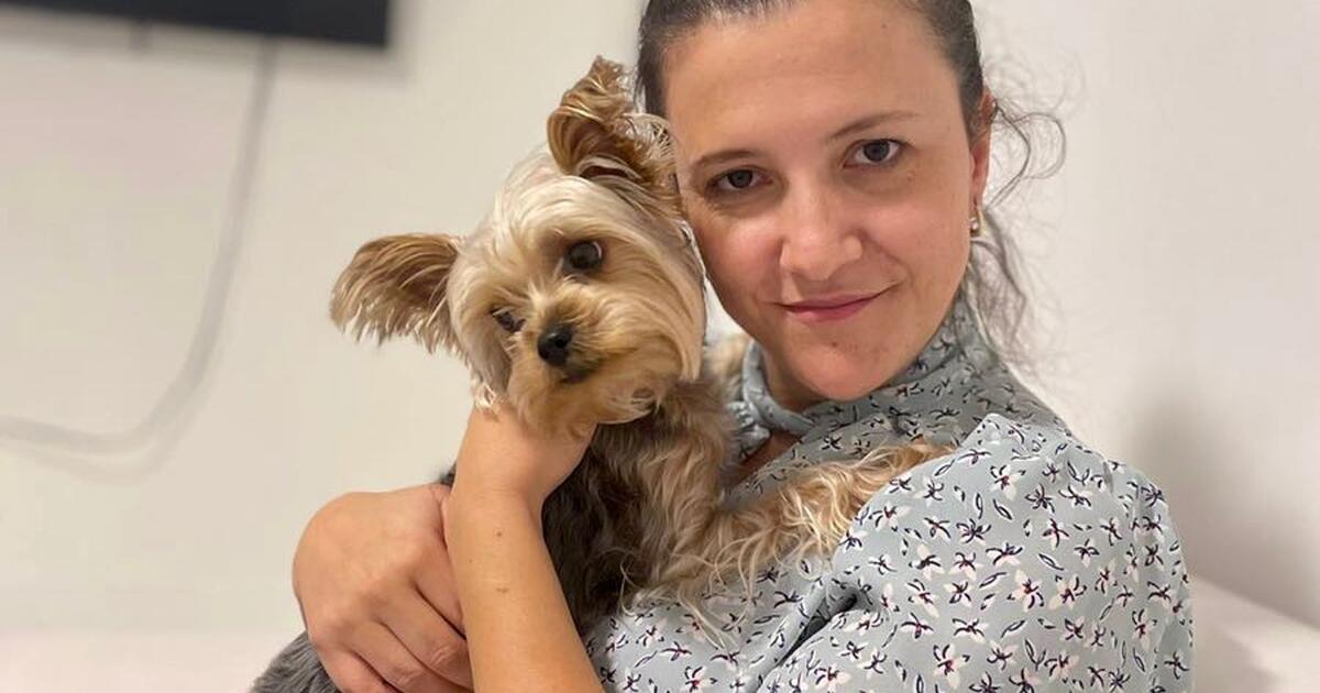 App For Finding Dog Sitters