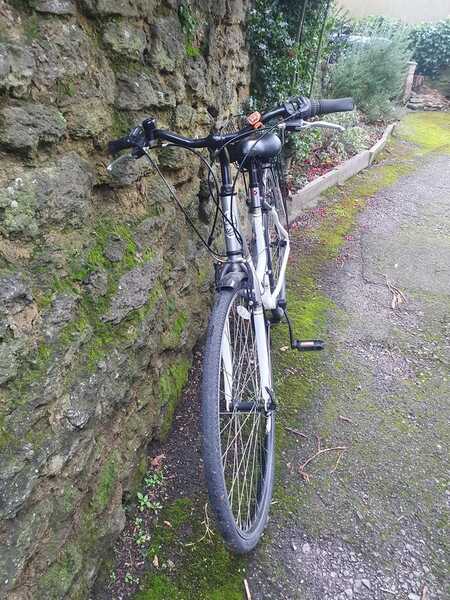 Apollo elyse comfort series 2025