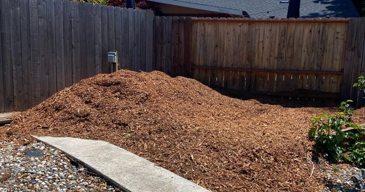 Redwood monkey hair mulch for Free in Vacaville, CA | For Sale & Free ...