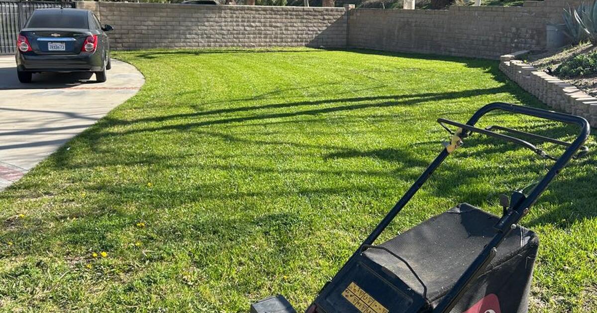 Lawn Care For Seniors Edmonton Prices