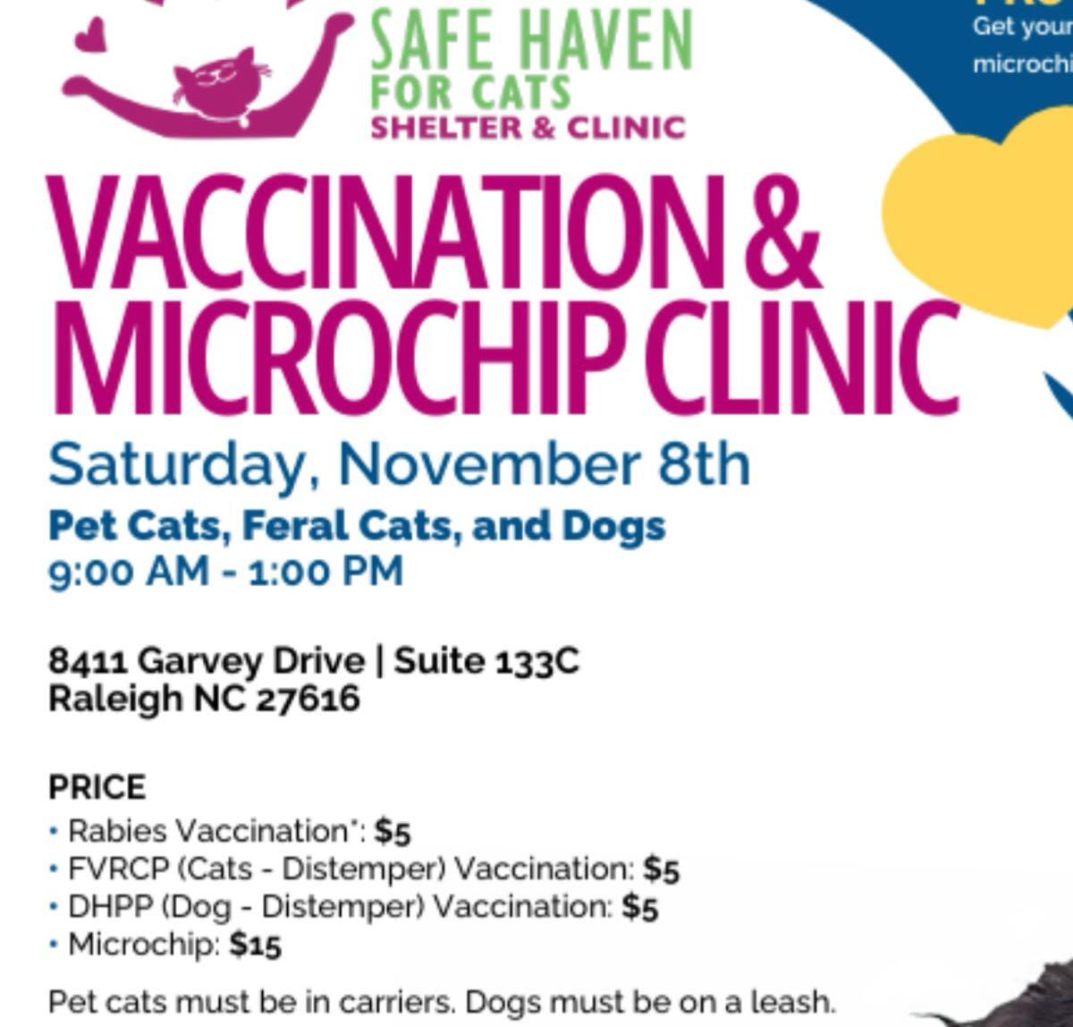 Safe Haven Clinic