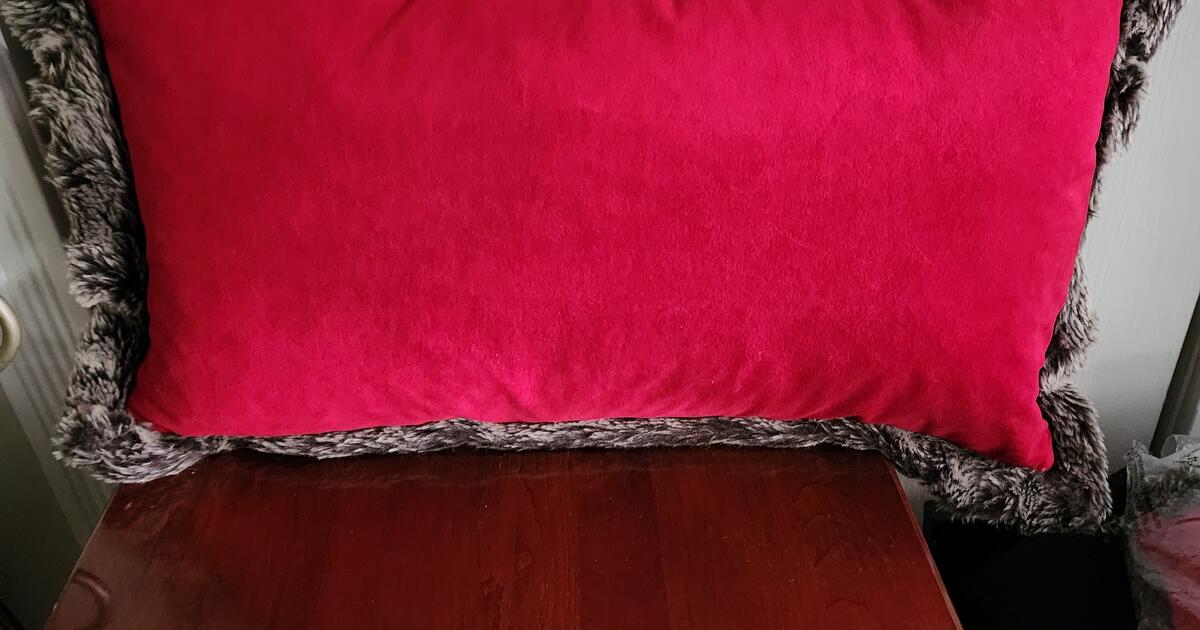 REDUCED! 26x16 feather toss pillows with faux fur for 15 in Woburn, MA For Sale & Free — Nextdoor