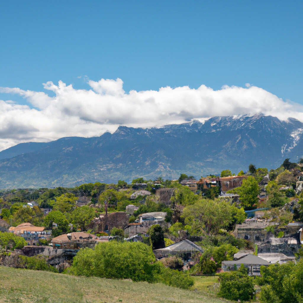 Todd Creek Meadows, Brighton News, Crime, Lost Pets, Free Stuff