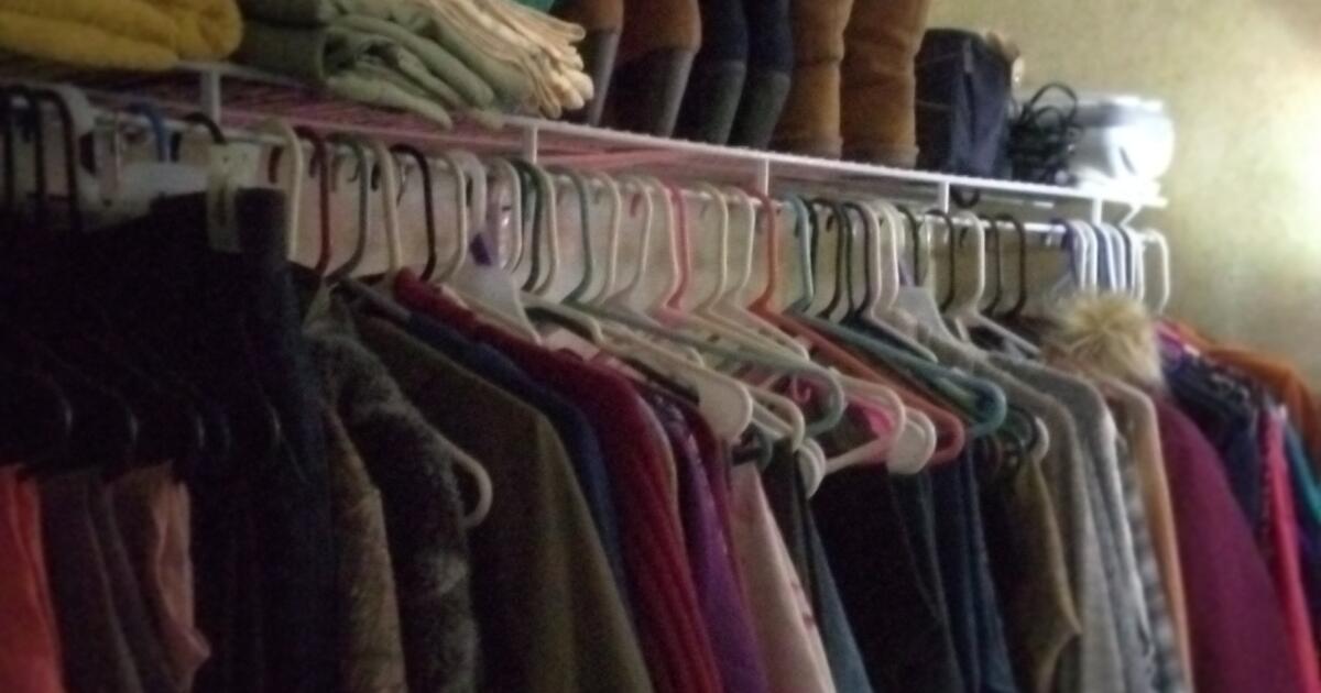 Rabbits For Sale Or Free