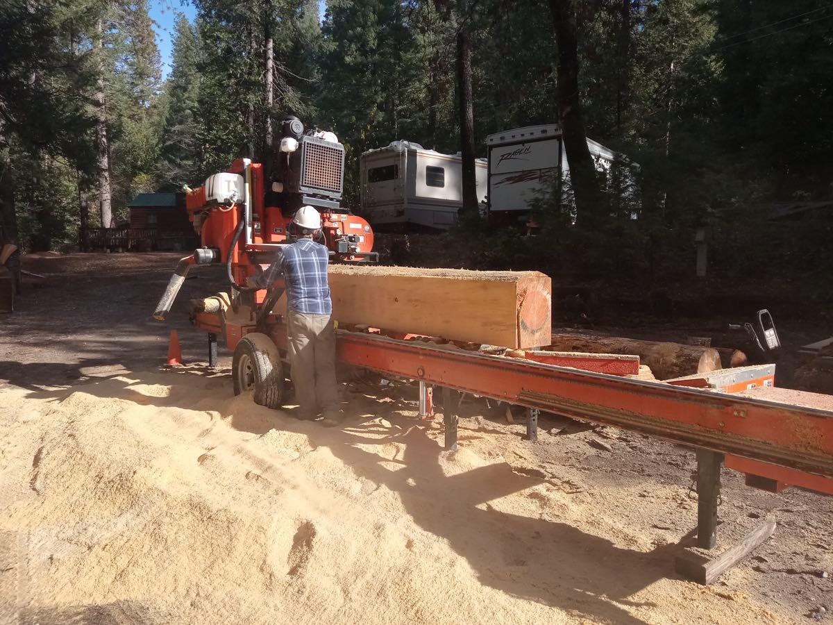 Mobile Saw Mill Service / Lumber Orders / Slabs for 175 in Grass