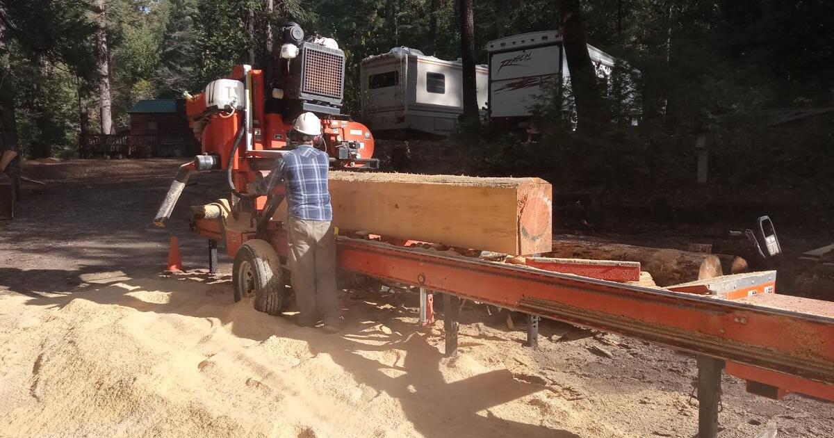 Mobile Saw Mill Service / Lumber Orders / Slabs for 175 in Grass