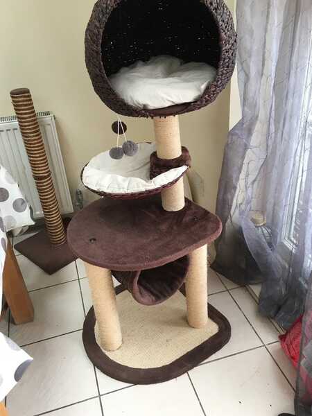 Pets At Home Hillary High Sleeper Cat Activity Centre For 40 In